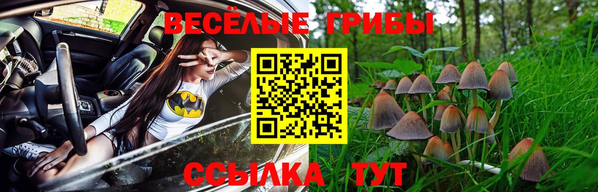 Псилоцибиновые грибы Magic Shrooms  Вход с VPN  Белово 